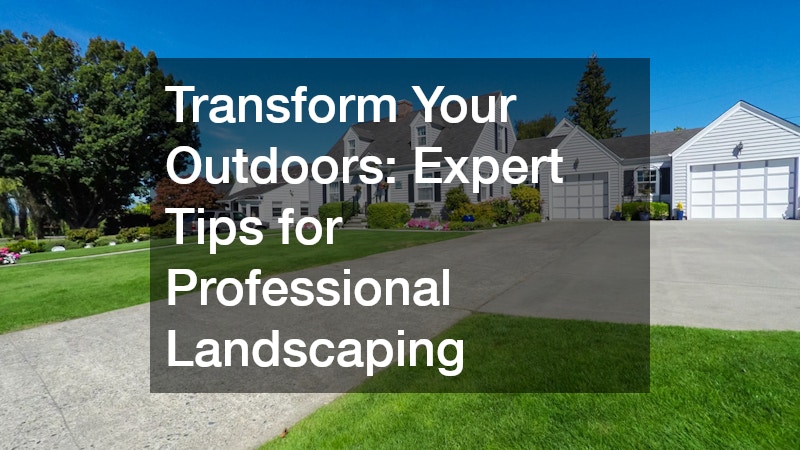 Transform Your Outdoors  Expert Tips for Professional Landscaping